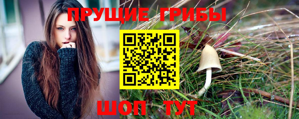 Галлюциногенные грибы прущие грибы Отрадный