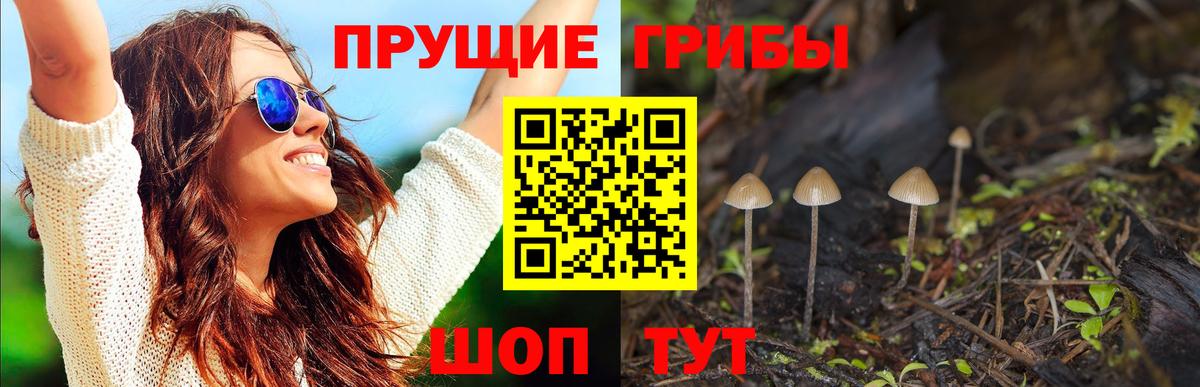 Галлюциногенные грибы MAGIC MUSHROOMS  Вход с VPN  Псилоцибиновые грибы мицелий  Отрадный 