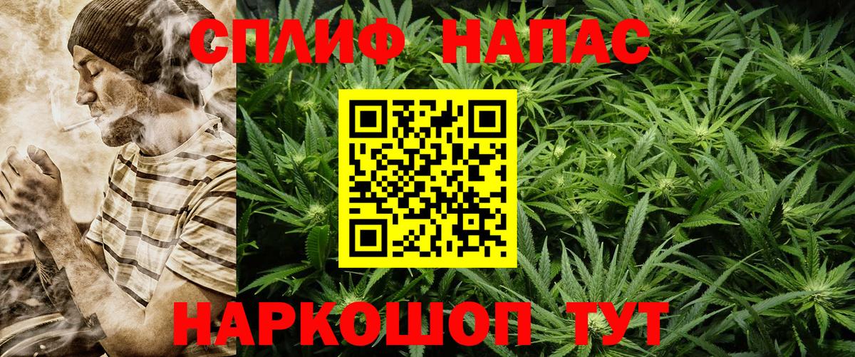 Канабис гибрид Отрадный
